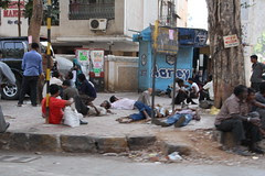 why dont they sterilize human strays like they do the dogs..that bite but dont rape by firoze shakir photographerno1