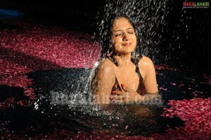 Sheela Photo Gallery