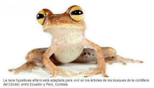 registro