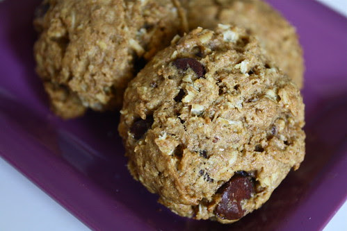 Pumpkin Lactation Cookies