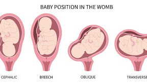 The Intriguing Enigma of Your Baby's Position in the Womb: Unlocking the Secrets Within