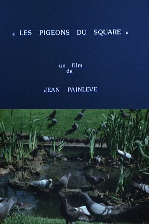 Les pigeons du square online magyarul videa online streaming teljes
1982 uhd dvd