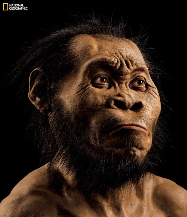 Reconstrução mostra como seria o rosto do 'Homo Naledi', como foi batizada a nova espécie identificada a partir de ossos encontrados na África do Sul (Foto: Mark Thiessen/National Geographic via AP)