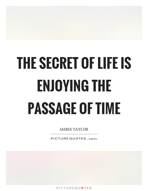 The Secret Of Life Is Enjoying The Passage Of Time Picture Quotes