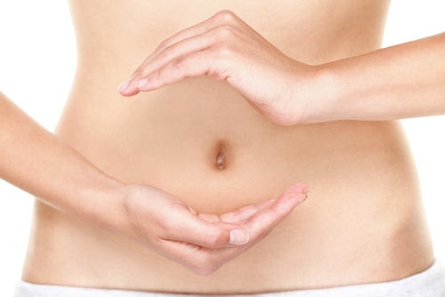 Digestion