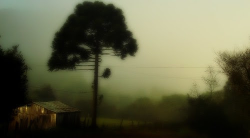 UMA CASA NO CAMPO