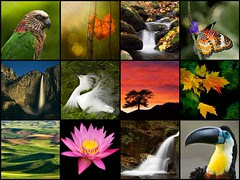 A Day for Reflection by JLMphoto