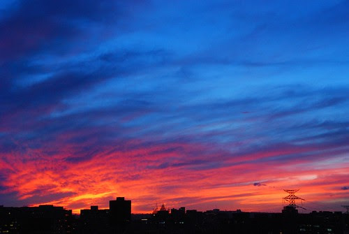 DSC_3709
