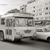 55 Trends For Bären Bruchsal