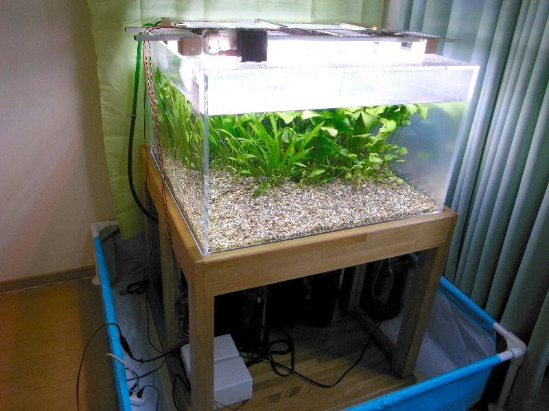 Aquarium