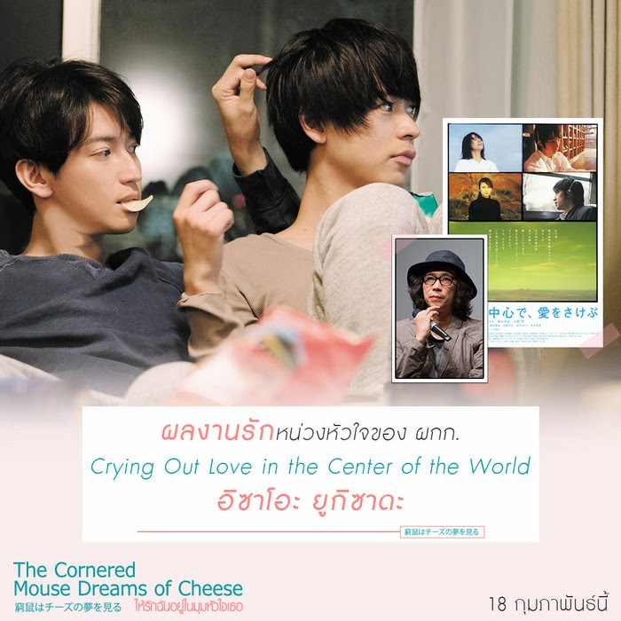 6 เหต ผลท อยากชวนมาด The Cornered Mouse Dreams Of Cheese ให ร กฉ นอย ในม มห วใจเธอ