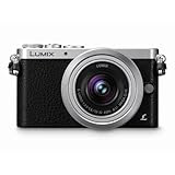 Panasonic LUMIX DMC-GM1KS Compact System Camera with 12-32mm Silver Lens Kit