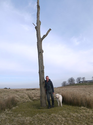 Totem