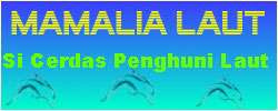 BannerFans.com