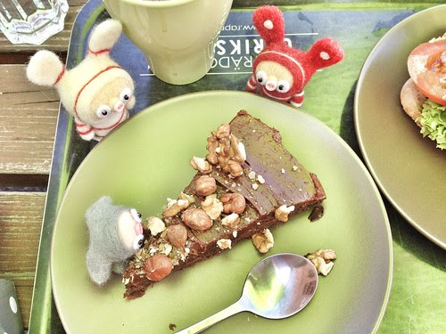 choc nutty cake