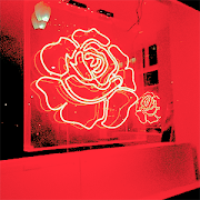 Popular 20+ Aesthetic Photography 300X300