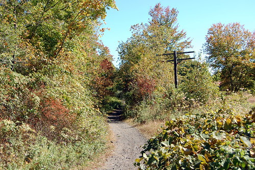 SNETT_TelegraphPole
