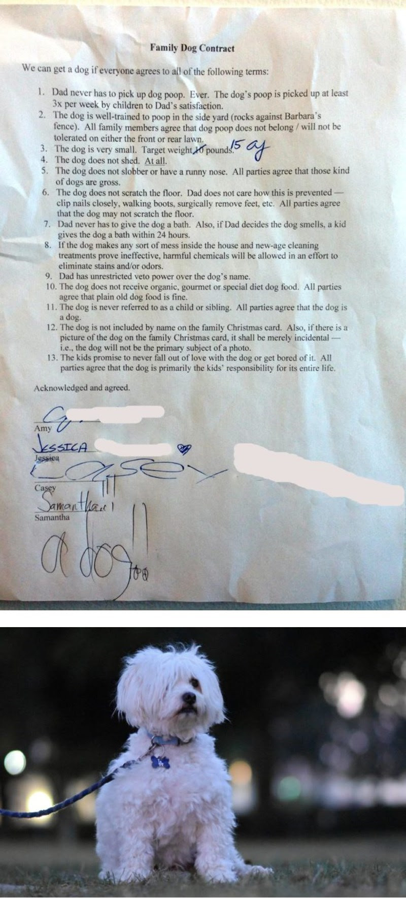 dogs,kids,parenting,contract