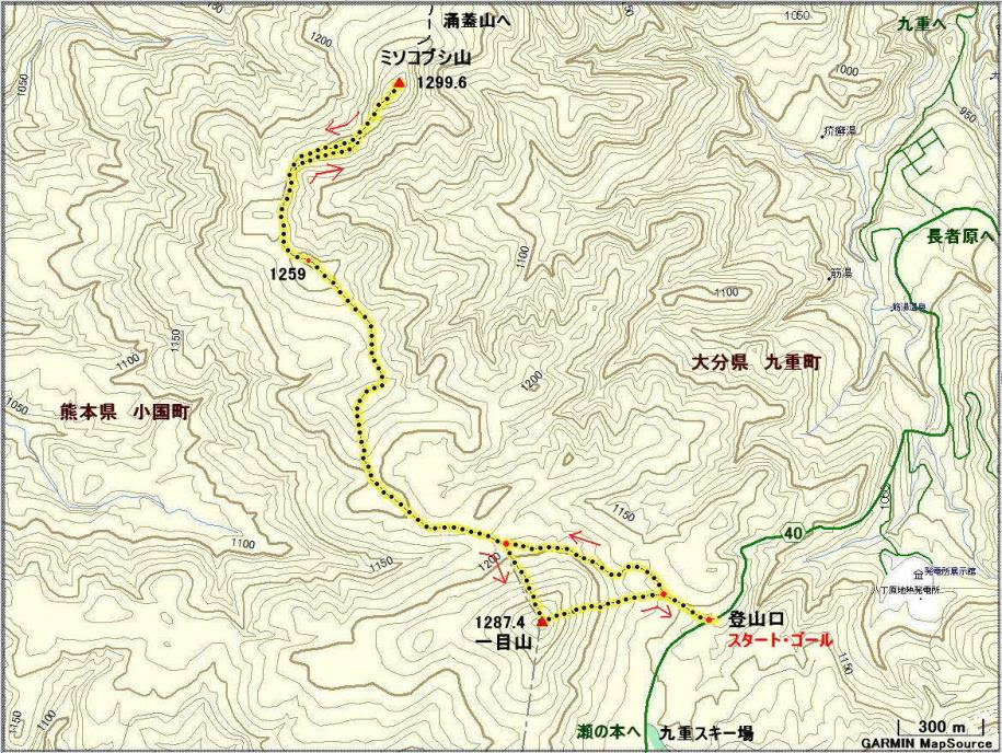 一目山 みそこぶし山
