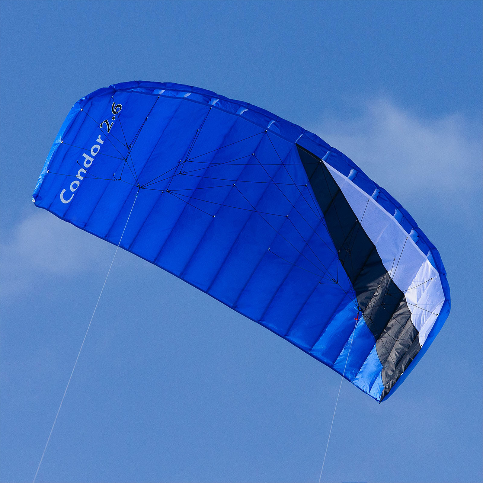 Lenkmatte mit Bar QEEDO Condor 2.6 Power-Kite Lenkdrachen ...