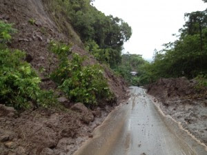 La caída de varios árboles y parte del tendido eléctrico en la Ruta 239 que comunica San José con Puriscal, ha provocado el cierre momentáneo de la vía.