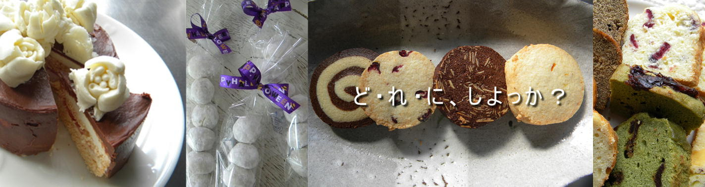 コットンチューリップ