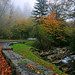Great Smoky Mountains National Park