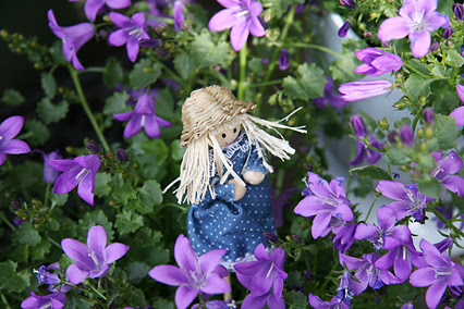 相模大野 男の買い物日記 咲きそろいました 春の花 鶴見園芸さん