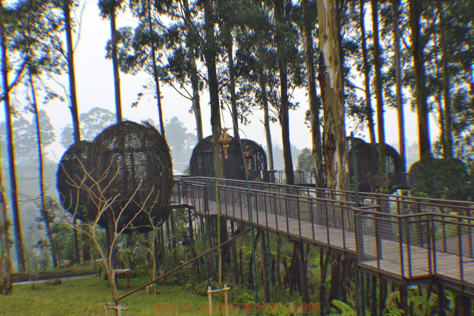 wisata rasa jemursari