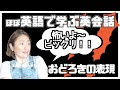びっくり 表現 201602-びっくり 表現