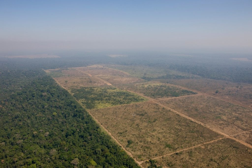 Área desmatada para produção agropecuária dentro da Floresta Nacional de Jamanxim. Foto: Daniel Beltrá/Greenpeace.