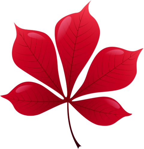 daun logo perak png