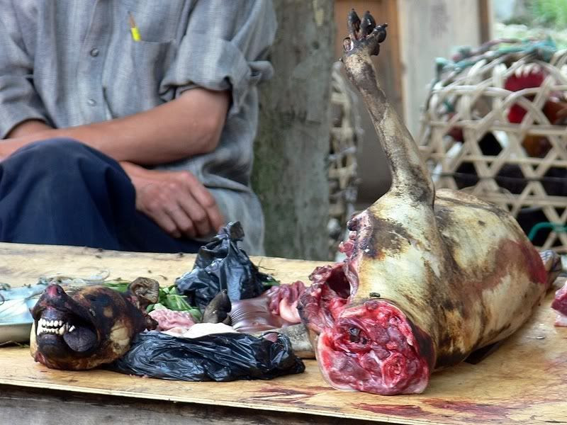 cuisine chien chinois
