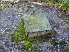 DSC02391