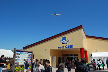 成田市さくらの山 空の駅さくら館 Feel成田 成田市観光協会公式サイト