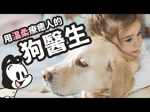台灣狗醫生