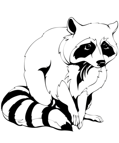 Raccoon coloring page | Free Printable Coloring Pages