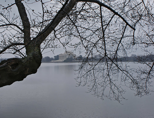 DSC00224_2