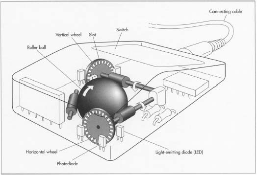 Beneath the outer, hard plastic body that the user maneuvers across a mouse pad is a rubberized ball that turns as the mouse moves. The ball is held in place by a support wheel and two shafts. As it rolls, one shaft turns with horizontal motion and the second responds to vertical motion. At one end of each of the two shafts, a spoked wheel also turns. As these spokes rotate, infrared light signals from a light-emitting diode (LED) flicker through the spokes and are intercepted by a light detector. The dark and light are translated by phototransistors into electrical pulses that go to the interface integrated circuit (IC) in the mouse. The pulses tell the IC that the ball has tracked left-right and up-down, transmits the command through the cable to the Central Processing Unit (CPU), and instructs the cursor to move accordingly on the screen.