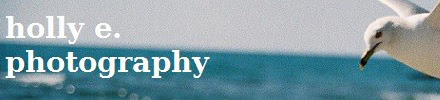 Holly E. Photography Review & Giveaway