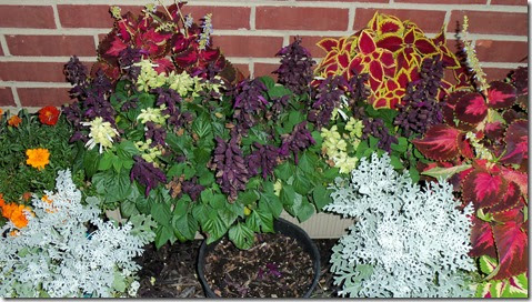 08-06-2017 GW14 (14)