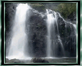 Animated Pictures Myspace Comments