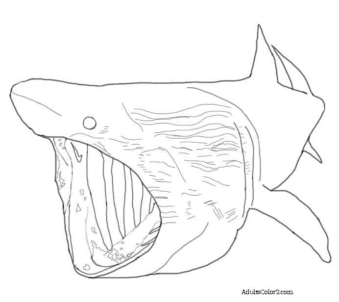 scary shark coloring pages for kids