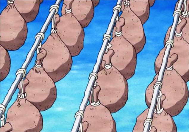 水水肉 喰いたいっす 馬鹿頭海賊団 楽天ブログ