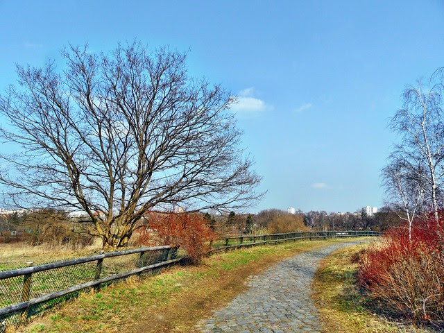 Panorama-Blicke vom Hahneberg auf Staaken