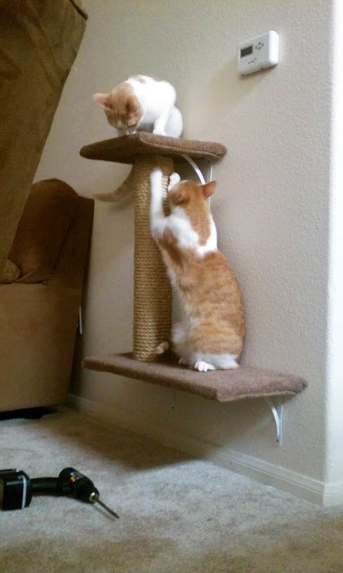 9 Simple DIY Cat Trees To Spoil Your Kitty - Shelterness