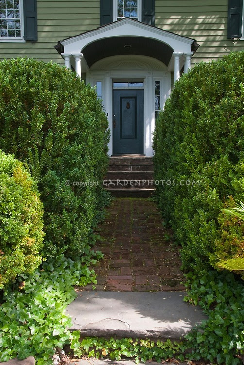 Pin by Connie T on patio and garden | Pinterest