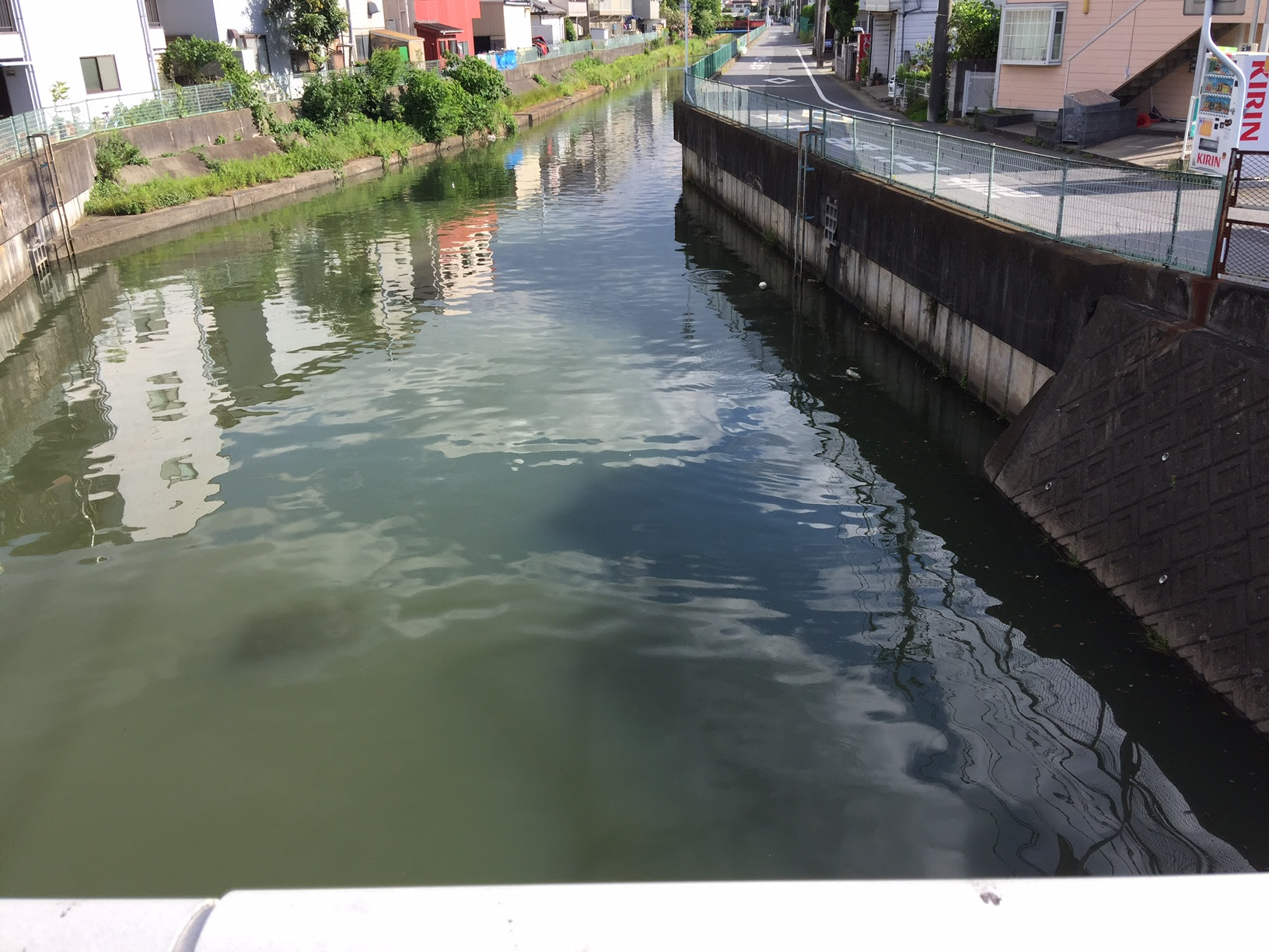 東京フィッシングvol 6 鯉釣り を紹介 大人の趣味道