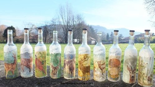 Les Pourquois Du Jour Anniversaire Theme Chasse En Photo Le Blog De Bylette