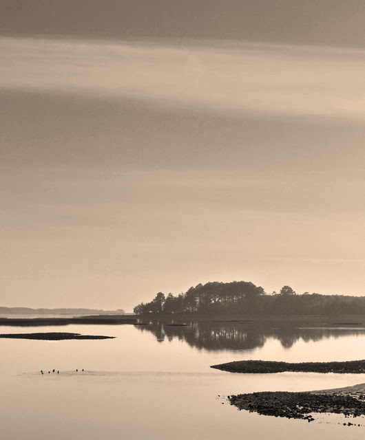 Machipongo River BW